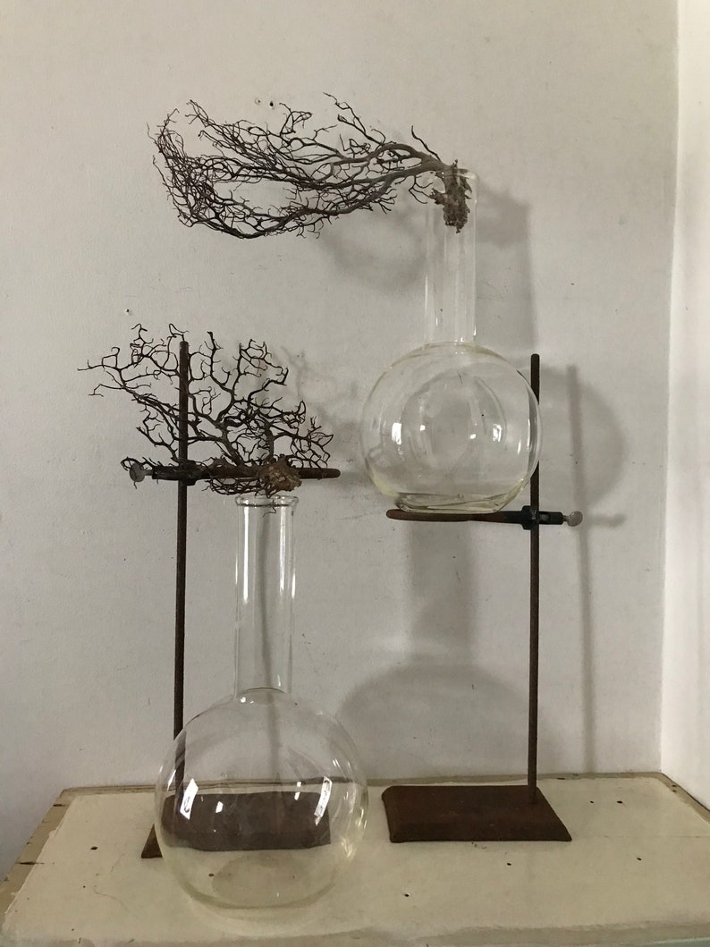 Two Beaker Rack Antique Lab Rack Beaker Flask Test Tube Stands Scientific Botanical ...