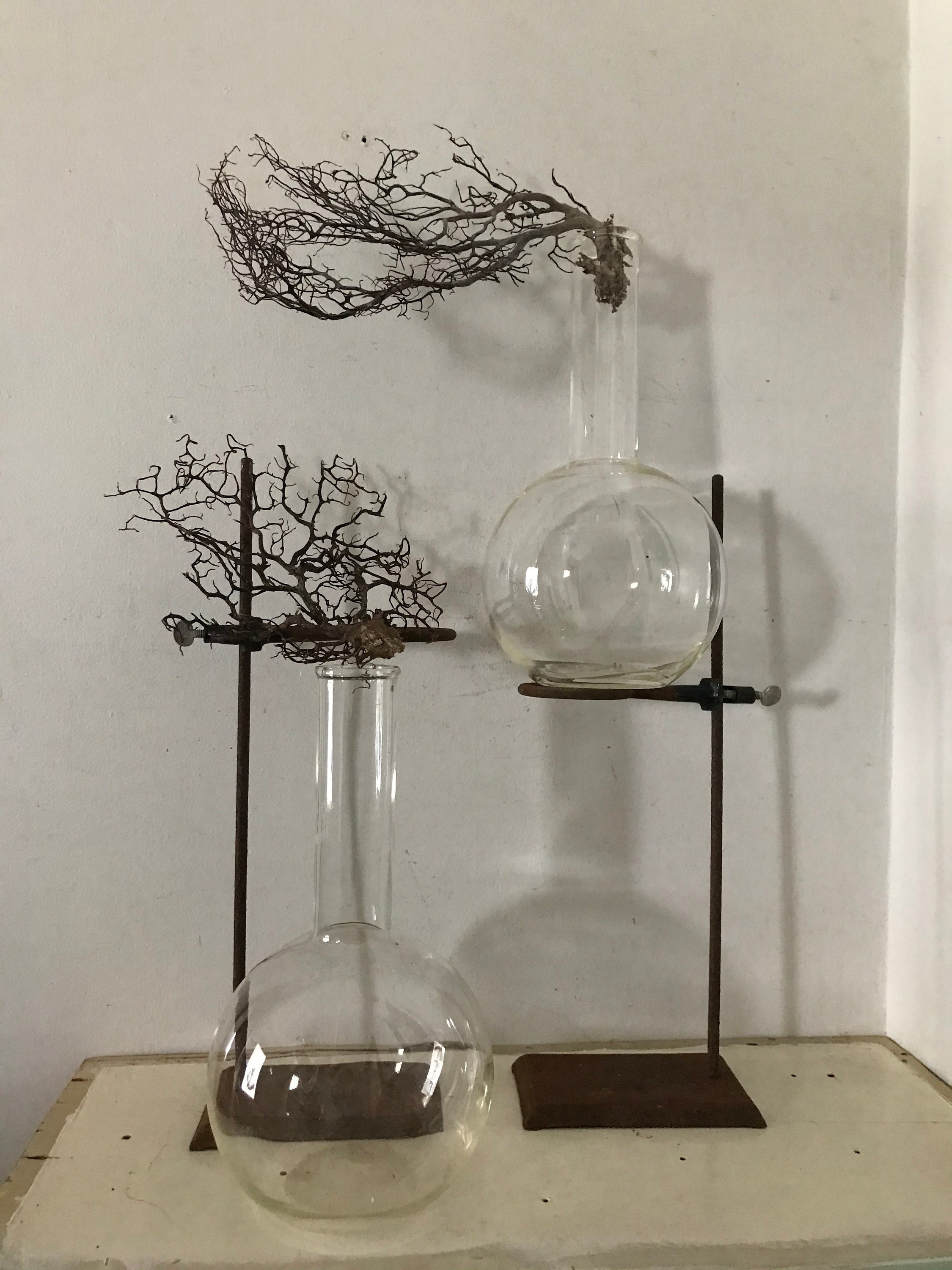  ECONOMICS EXPERIMENT/Blankmag/花瓶 HOME ECONOMICS EXPERIMENT/Blankmag/花瓶 - メルカリ