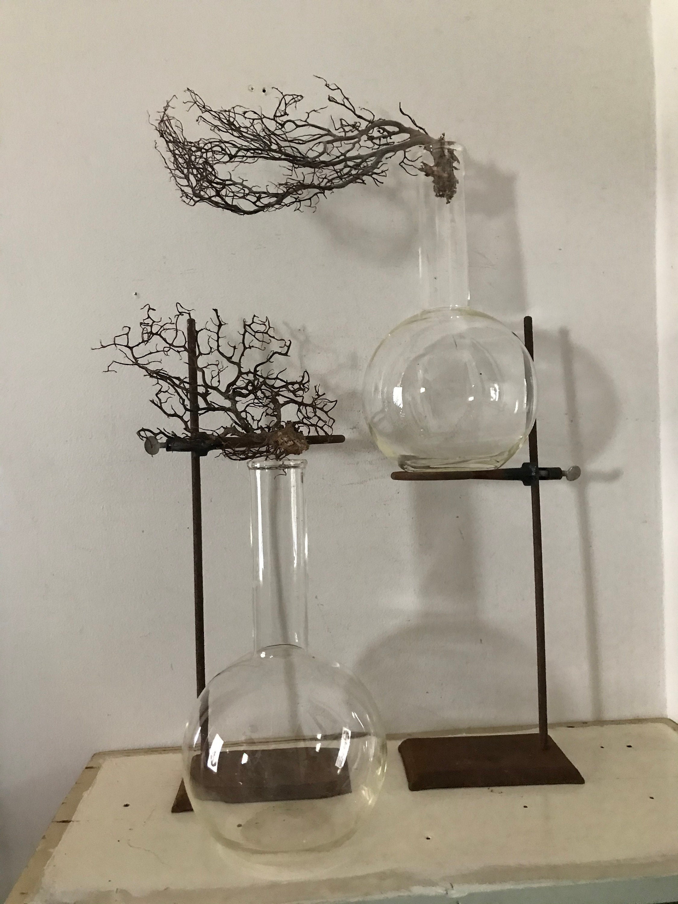 Antique Lab Rack Beaker Flask Test Tube Stands Scientific Botanical