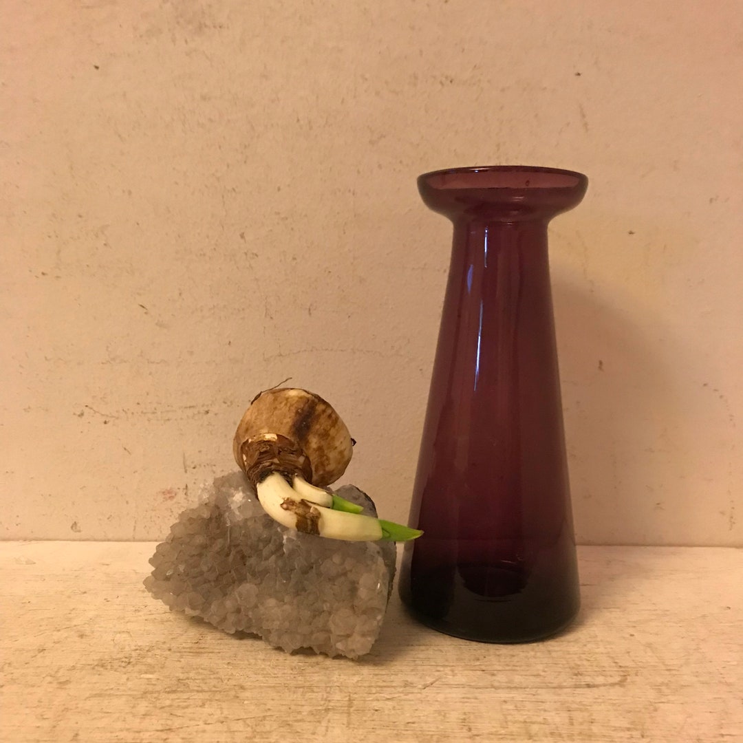 Antique Hyacinth Vase Bulb Vase Antique Forcing Vase Hand Blown