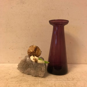Antique Hyacinth Vase Bulb Vase Antique Forcing Vase Hand blown Amethyst Glass Garden Americana
