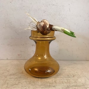 Antique Hyacinth Vase Bulb Vase Antique Forcing Vase Hand blown Glass Garden Americana Ikebana