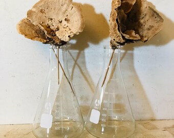 Antique Lab Beaker Flask Test Tube  Scientific Botanical Garden Vase Industrial