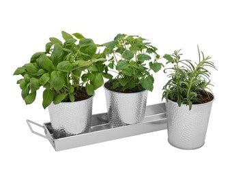 Herb Garden Planter Herb Garden Planter, Herb Garden Planter Set