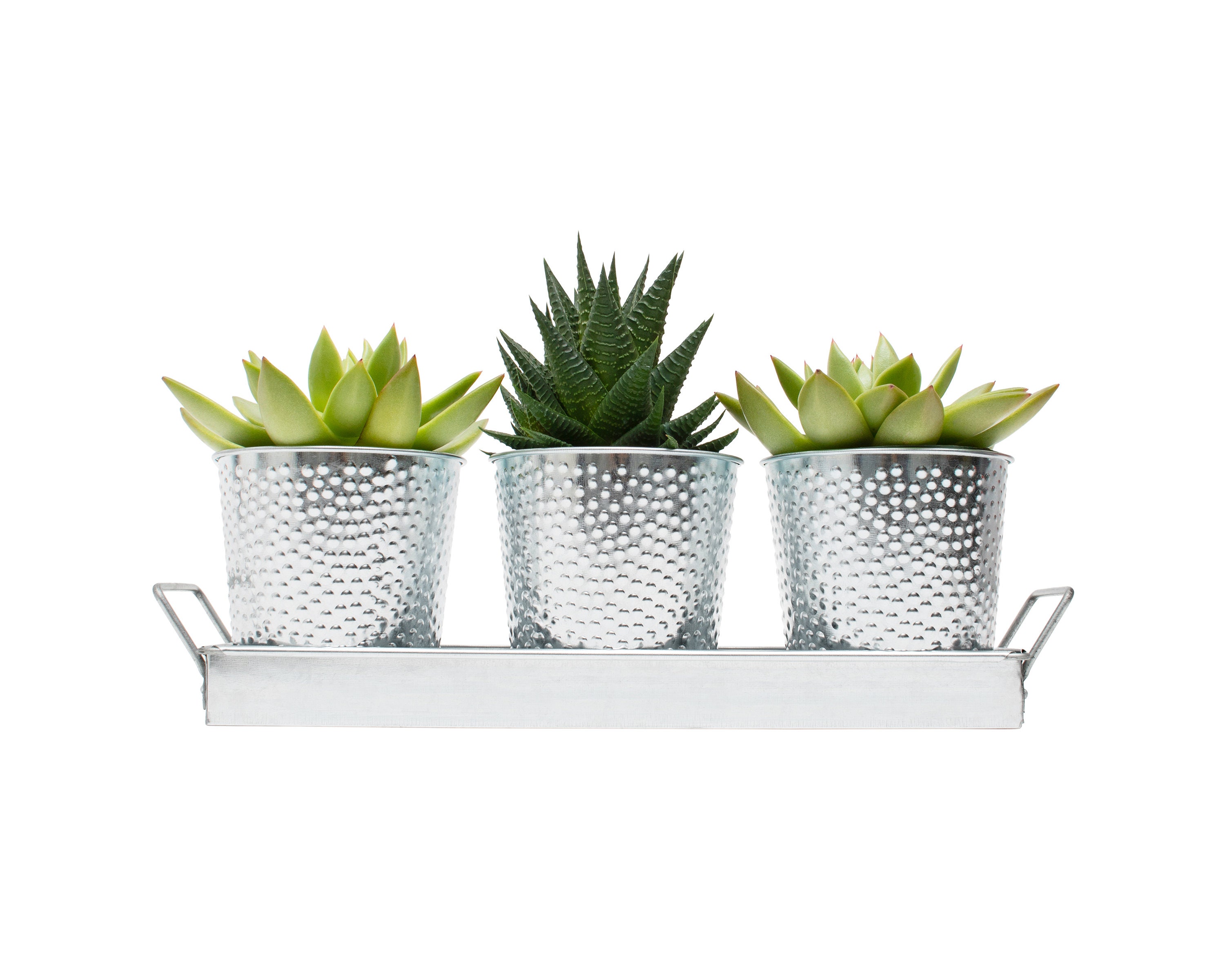 Galvanized Herb Pots Set of 3 Indoor Windowsill or Counter | Etsy