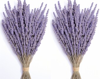 100% Natural Dried Lavender Bundles, 600 Stems (16-17 Inches) for Home Fragrance and Decor, Wedding Decor, Lavender Decor, Shower Decor
