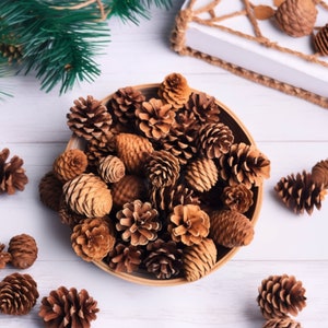 30-Piece Natural Pine Cones Assortment, Rustic Pinecones for Christmas & Winter Holiday Decor, Winter Decor, Fall Decor, Table Bowl Fillers,