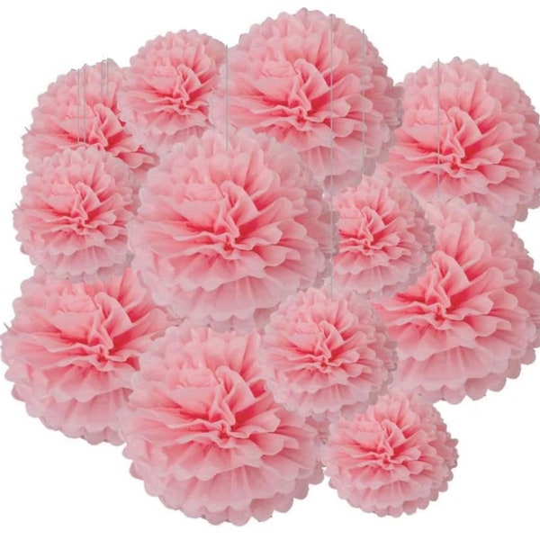Light Pink Paper Pom Poms 12pcs Set for Party Decor Ceiling & Wall Hanging Tissue Flower Decoration for Wedding Decoration for Baby Shower