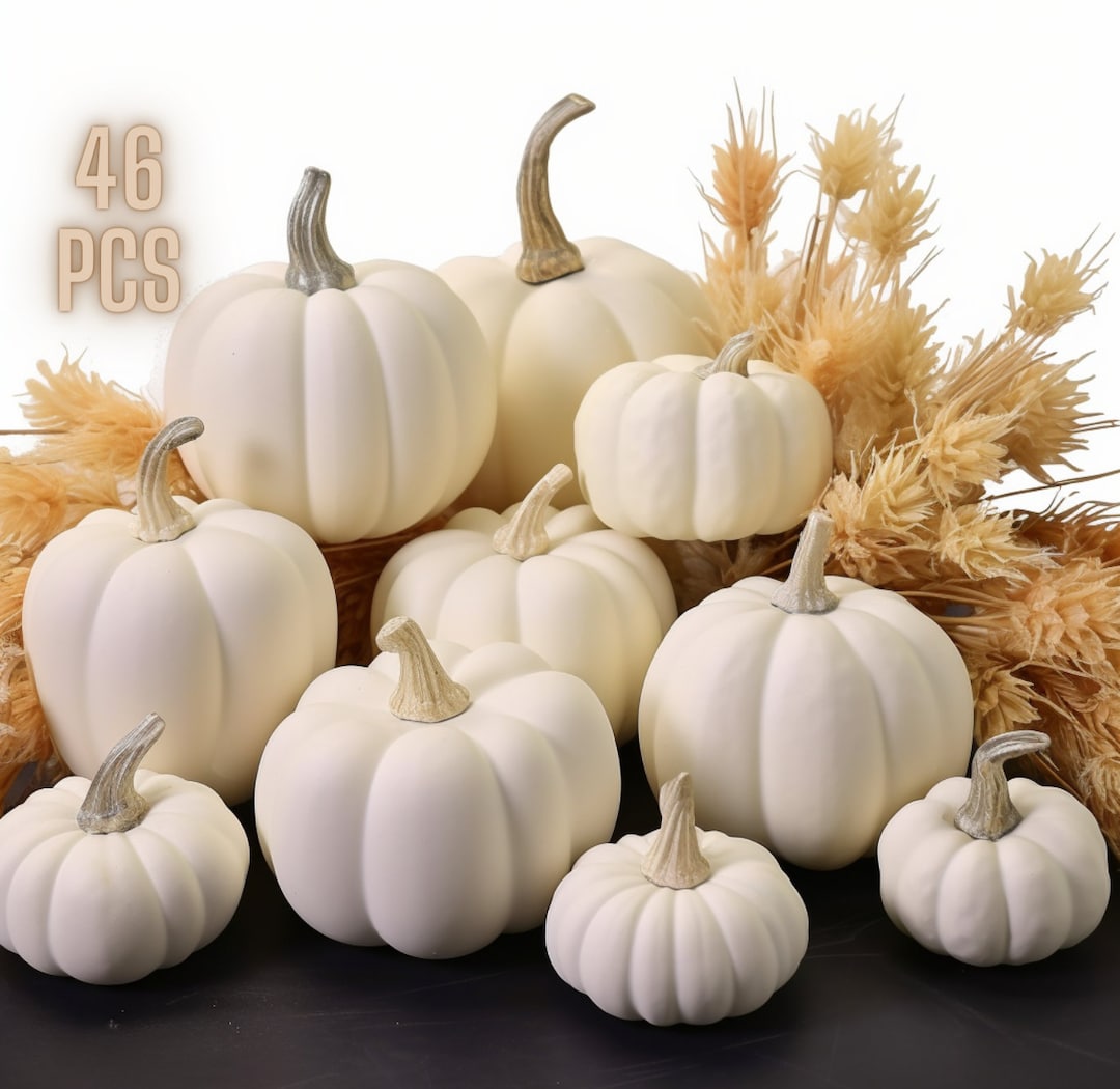 46 PCS Fall White Pumpkins Decor White Pumpkins Halloween Etsy