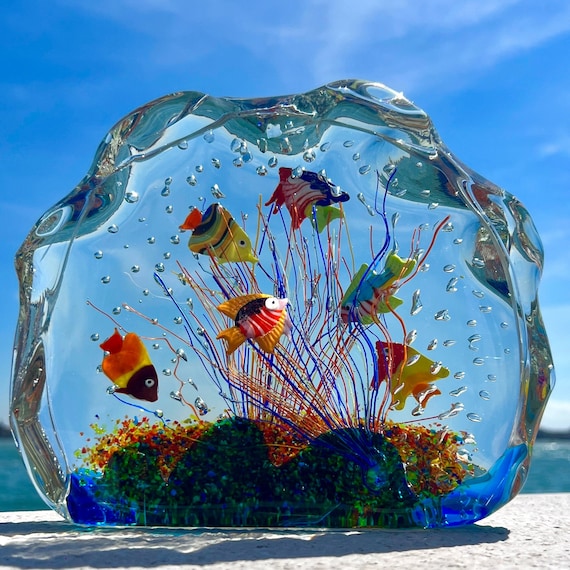 Glass aquarium clearance
