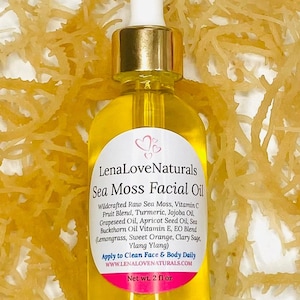 Sea Moss Face Oil with Wildcrafted Sea Moss Handcrafted Skin Care Sea Moss Body Oil Facial Oil image 3