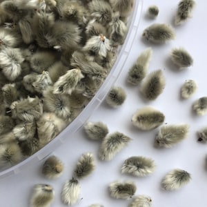 Willow tree balls Dried flowers bunch Real Osier forest craft supplies Natural home wedding decor fluffy Easter decoration
