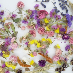 Mélange de fleurs d'été séchées + 200 pcs. Véritable résine végétale naturelle pour faire des ornements, du savon, des cartes de voeux, des bougies, du matériel fait main