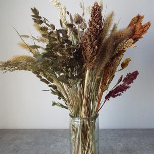 Tiges d'herbe séchées naturelles - Herbe sauvage rustique pour travaux manuels Décoration d'intérieur bohème et style de mariage rustique