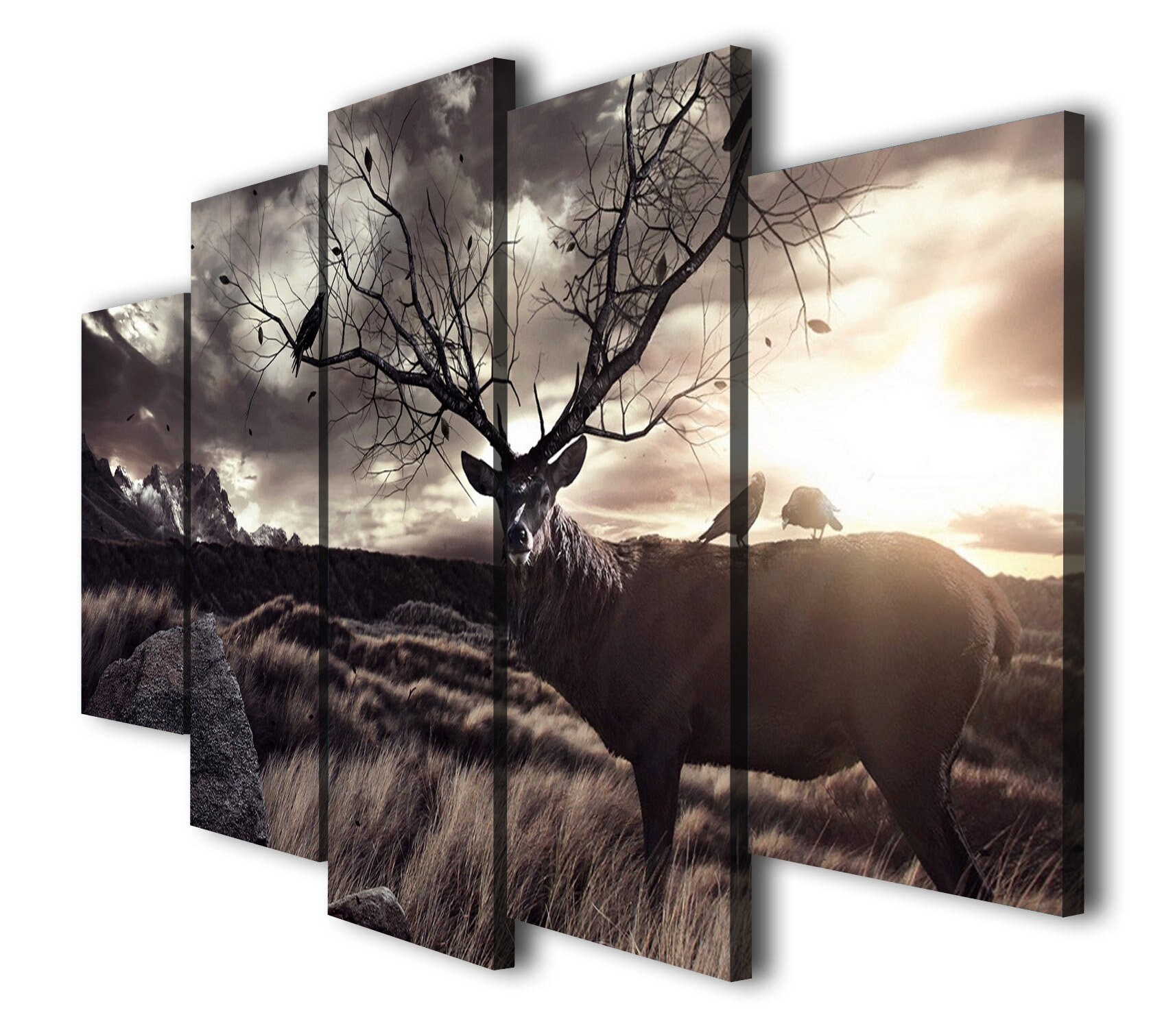 Badlands Deer Canvas Print Mule Deer Wall art Mule Deer Etsy