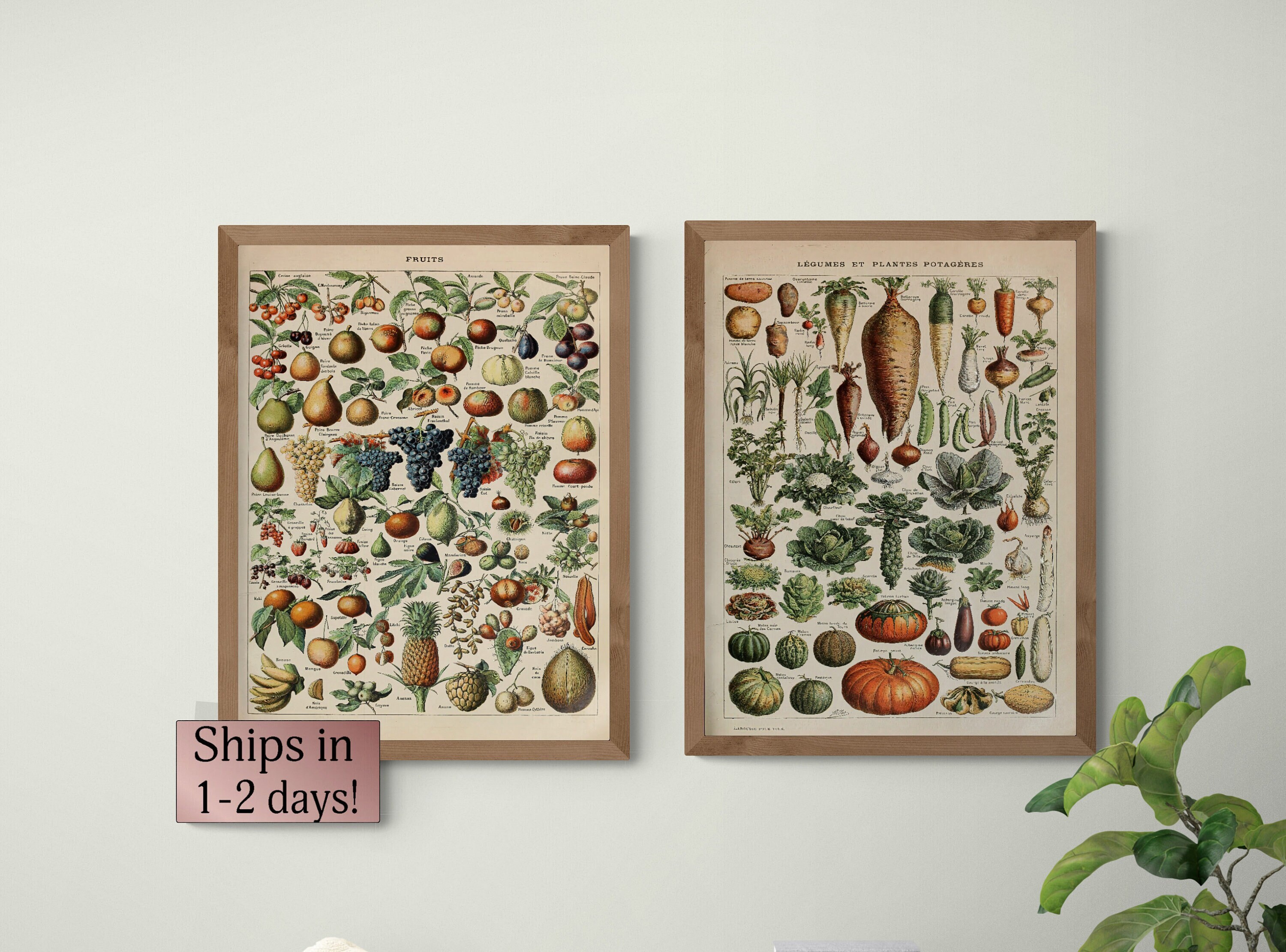 Fruit Vegetable Art - Etsy