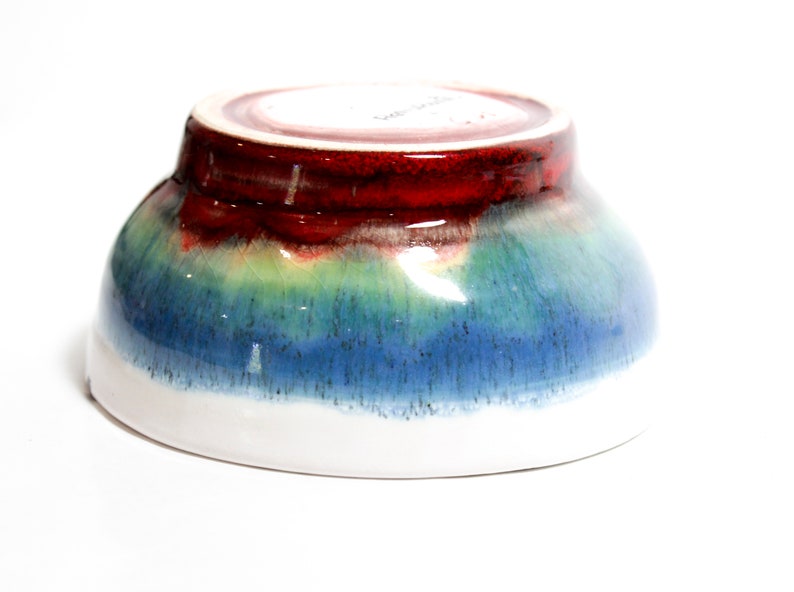 Hand Thrown and Hand Painted Ceramic Bowl with Modern Art birds in Flight Design