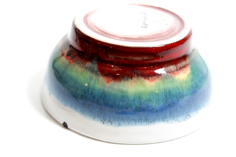 Hand Thrown and Hand Painted Ceramic Bowl with Modern Art birds in Flight Design