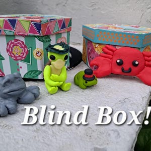 Può includere: Due scatole decorative con coperchi colorati e varie statuette di argilla. Vengono esposti una rana grigia, un'anatra verde lime con cappello, una piccola rana verde con cappello e un granchio rosso. Il testo "Blind Box!" è scritto in bianco.