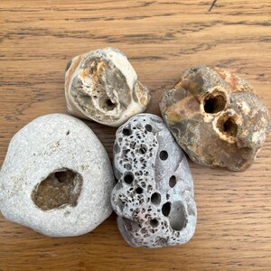 【レア品】アダーストーンAdder stoneハグストーン　ウィッチズストーン Adder Stone (Hag Stone) - Mineral Specimen – CrystalBarista