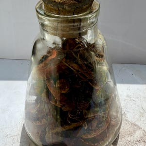 Vintage Glass Apothecary Jar with Original Cork | Rusty Found Objects Collection | Mixed Media Art Supply | Junk Journal Ephemera | Curiosit