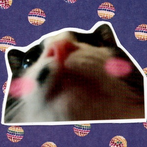 Silly Kitty Blushing Tuxedo Cat Cute Pets Vinyl Sticker