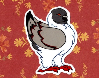 Modena Pigeon Vinyl Sticker, Cute Bird Pet Decal