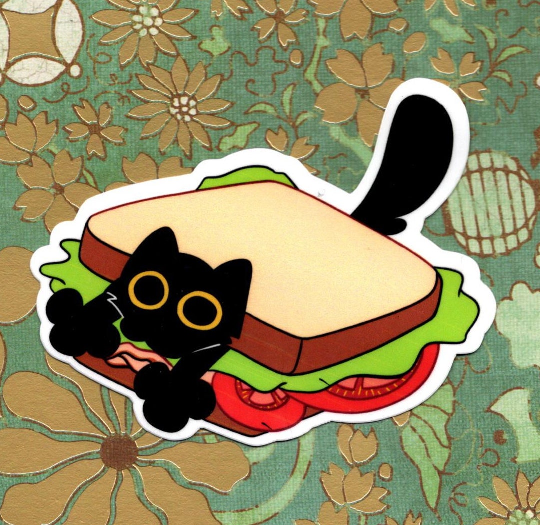 Download Cute Kitten With Fuzzy Fur Wallpaper | Wallpapers.com, image size:1080x1050