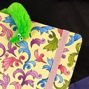 WORM ON STRING - A5 Notebook Journal