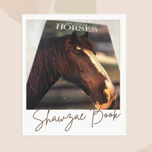 The Love of Horses By Micheal Clayton Hardback