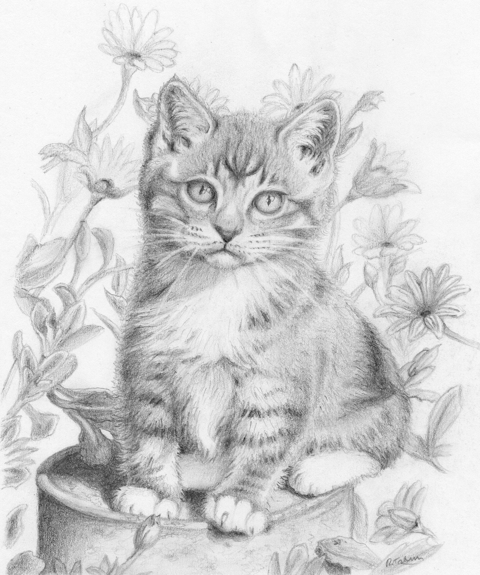 Kitten graphite pencil drawing blank greeting card