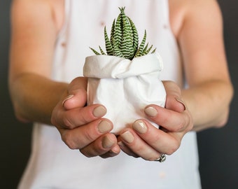 Set of 3 Mini Washable Paper Bags: Succulent Planters, Reusable Kraft Pots