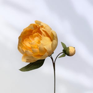 Crepe Paper Peony in Yellow