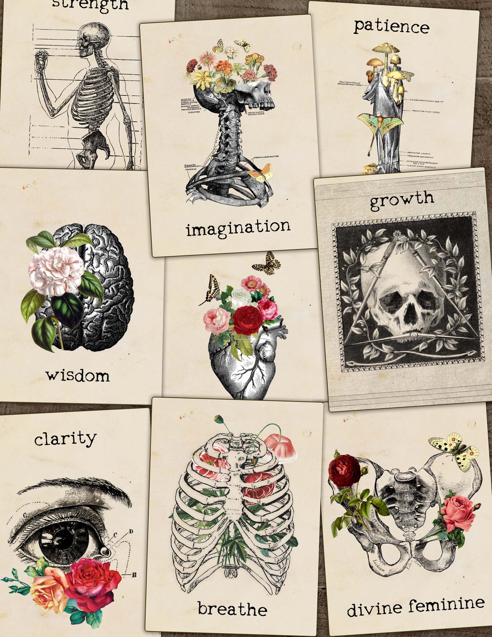 Printable Tarot Oracle Cards Human Oddities Digital Tarot