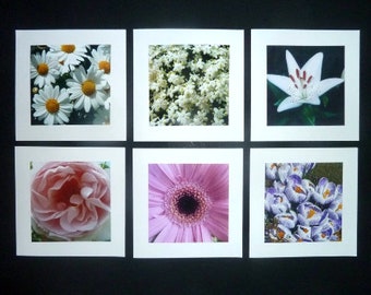 6 Flower/Nature Photo Greeting Cards Set – Photo Note Cards – Blank Greeting Cards