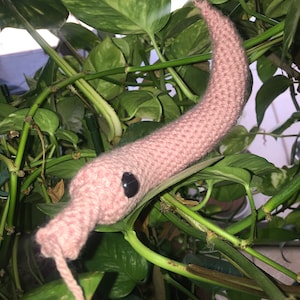 Peach Worm on a String