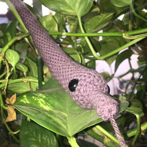 Doodle Worm on a String