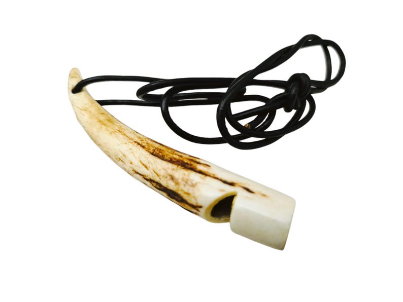 May include: A bone whistle with a black leather cord. The whistle is made of natural bone with a brown and white mottled pattern.