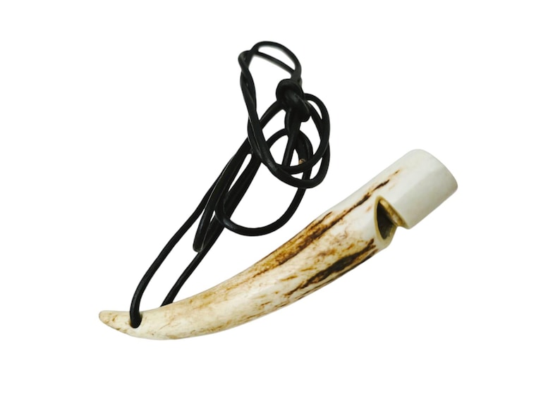 May include: A white antler whistle with a black leather cord. The whistle is shaped like a curved horn and has a small hole on the side for blowing.