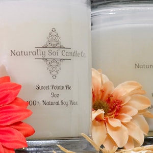 Naturally Soi&#39; 9oz wax candle