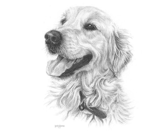 May include: Pencil drawing of a Golden Retriever dog with a collar. The dog is smiling with its tongue out, and the drawing is detailed with shading to show the fur and facial features. The artwork is on a white background.