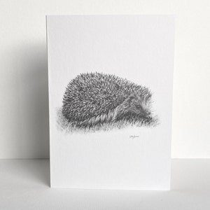 Wenskaart egel | Handgetekende potloodschets | Blanco binnenkant | Britse artiest