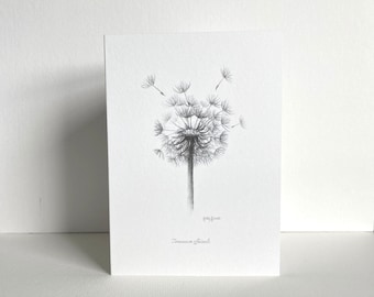 Dandelion Seed Head Greeting Card | Botanical Drawing | Hand-Drawn Pencil Sketch | Blank Inside | UK Artist