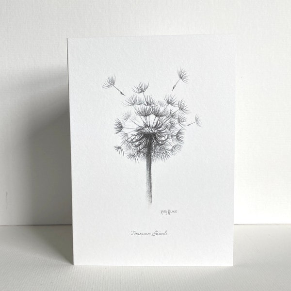Dandelion Seed Head Greeting Card | Botanical Drawing | Hand-Drawn Pencil Sketch | Blank Inside | UK Artist