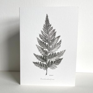 Tarjeta de felicitación con diseño de helecho / Dibujo botánico / Boceto a lápiz dibujado a mano / Interior en blanco / Artista del Reino Unido