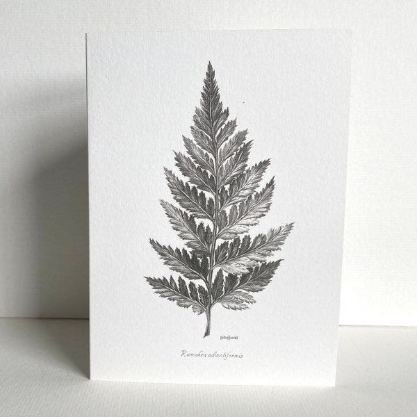 Fern Greeting Card | Botanical Drawing | Hand-Drawn Pencil Sketch | Blank Inside | UK Artist