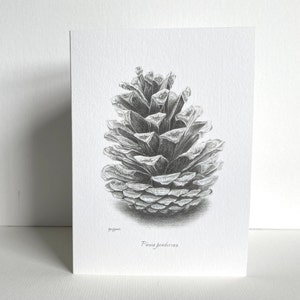 Tarjeta de felicitación de piña / Dibujo botánico / Boceto a lápiz hecho a mano / Interior en blanco / Artista del Reino Unido