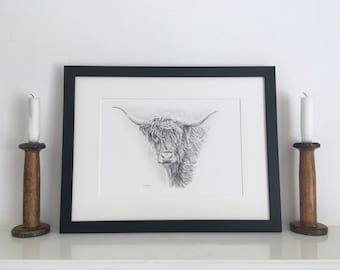 Highland Kuh Giclée Print: Bleistift Zeichnung, Wandkunst, gerahmt oder ungerahmt