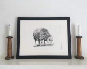 Herdwick Sheep Mounted Giclée Print | Hand-Drawn Pencil Sketch | UK Artist | Framed or Unframed