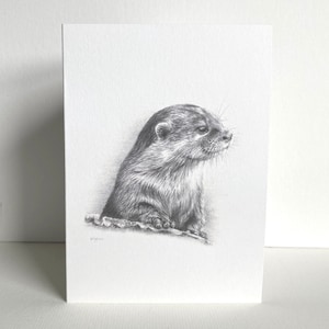 Otter Greeting Card | Hand-Drawn Pencil Sketch | Blank Inside | UK Artist